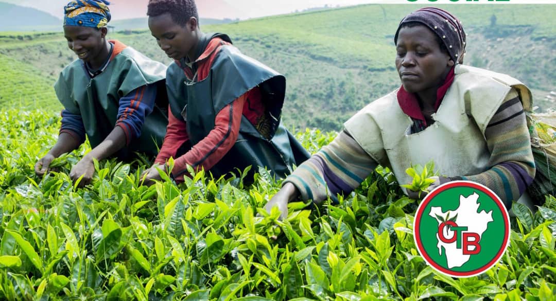 Teza tea complex, Muramvya Province