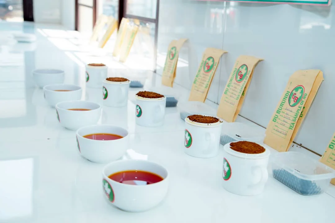 Cups of Burundi tea